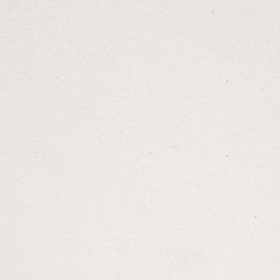 Terra White 0090