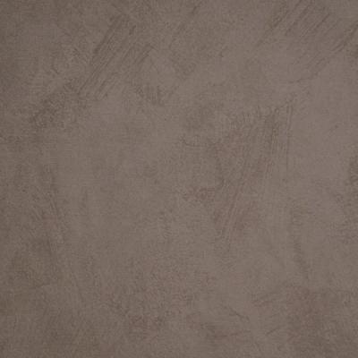Taupe Terra 2017