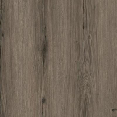 8402 Elvezia Dark Grey