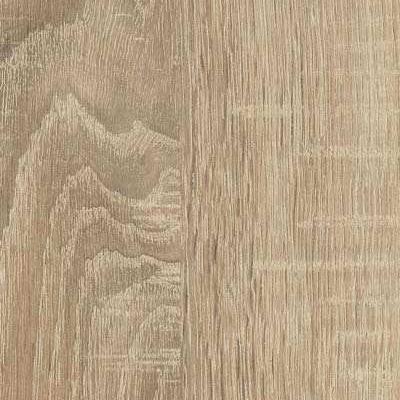 H1146 ST10